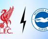 Brighton: at what time and on which channel to watch the Premier League match live?