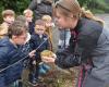 Thanks to Finistère replacement, children visit a farm