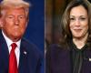 Donald Trump or Kamala Harris: the anarchy that will come after November 5