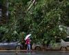 Taiwan: two dead and more than 500 injured after the passage of Typhoon Kong-rey