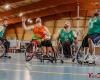 HANDIBASKET – Nationale 2: HSAM has Cambrai and takes the lead of the group