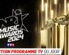 TV program: NRJ Music Awards, Astrid, Raphaëlle and Alexandra Ehle… what to watch on TV this evening?