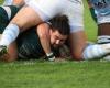 Top 14: ugly three for the Section Paloise, beaten by Racing 92 at Le Hameau (23-33)