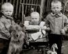 At Paris Photo, August Sander and his 600 portraits of Germans