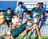 Top 14 – The notes of Perpignan – Vannes: Oviedo punchy, Lafage imprecise