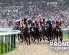 Expert predictions for meeting 1 in DEAUVILLE this Sunday, November 3