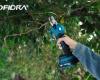 Simplify your life with this electric pruner at a knockdown price this weekend