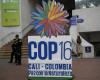 The outcome of COP16 on biodiversity becomes clearer in Cali