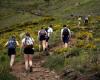 Walking still booming, hiking is attracting more and more women: News