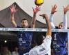 Volleyball: Arago de Sète continues at home with newfound freshness