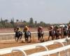 Marrakech: great success of the 3rd edition of the African Horse Racing Grand Prix