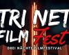 The “Tri Net Film Fest” will be held from November 7 to 9 at the Pathé cinema in Spreitenbach