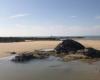 Vendée Globe 2024. Cleaning of Paracou beach organized this Monday with skippers