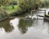 Environment. Restoration work is underway on the Sélune, in Saint-Hilaire-du-Harcouët