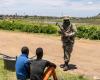 South Africa: forced out, illegal miners arrested