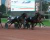 Sunday November 3 at Marseille-Vivaux: Fashionable Quick wins