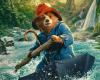 return to the cinema of the star bear in world premiere in London before its release in France in February 2025