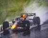 Verstappen calms Norris, double podium for Alpine in Brazil!