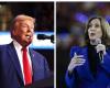 American presidential election: Donald Trump or Kamala Harris, what do the polls say on D-2?