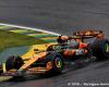 Formula 1 | Brazilian Grand Prix: The F1 race live at Interlagos