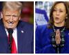 American presidential election: how long after election day will we know the results of the Harris-Trump duel?