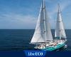 Transporting coffee by cargo sailboat, a much more ecological choice than conventional maritime transport, is now possible!