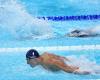 Swimming. Gastaldello and Grousset kings of the 50m at the French Championships