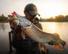 Record catch in Haute-Savoie, a 1.23 m pike