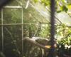 This Monday, the price of this garden greenhouse plummets below 75 euros to the delight of gardeners