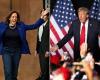 US election tomorrow! Harris or Trump? This is what the latest surveys say | policy