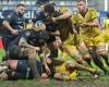 A first quarter, passable mention for Montpellier players in Top 14