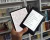 The disadvantages of digital e-readers that should be mentioned