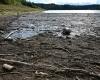 After the major floods in Haute-Loire, tons of wood to be evacuated to the Lavalette dam