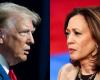 What polls show about the Trump-Harris race ahead of the 2024 election