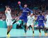 Ludovic Fabregas succeeds Luka Karabatic as captain of the France team