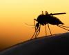 Malaria season starts earlier and earlier due to global warming