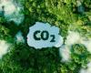 SNBC: France will decarbonize with fewer carbon sinks