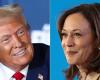 American presidential poll: Donald Trump and Kamala Harris neck and neck… what do the latest surveys say 24 hours before the election?