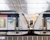 four people injured with axes in the RER E