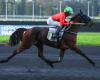 Lacinia shines with Eric Raffin for his debut at Vincennes