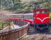 “It’s like diving into another world”: in Taiwan, a picturesque train to visit the past