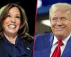 US election: Trump vs. Harris – What do the candidates stand for? | policy