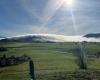 IN PICTURES. “Like a waterfall, but with clouds”, he films this fascinating weather phenomenon in the Jura mountains