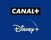 Canal+ will very soon lose access to the Disney+ streaming catalog