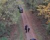 Moselle. The body of a teacher found lifeless during a hunt in Blies-Ébersing