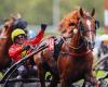 Prix ​​Marcel Laurent (Gr. II): the starters are known