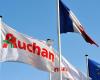 a vast social plan in preparation at the distributor Auchan, 2,300 jobs threatened