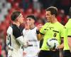 The refereeing department admits the error on Bertaccini’s goal in Sclessin: Saint-Trond files a complaint