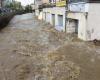 Floods. The state of natural disaster recognized for 53 municipalities in the Loire and 43 in Haute-Loire