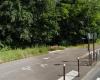 a cinerary forest planned in Seine-et-Marne